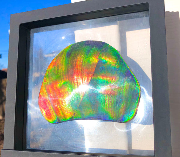 IMP-86 Super RARE HUGE Natural Polished Ammolite Double-Sided Rainbow Beauty !PREMIUM  巨大両面！ナチュラル レアルース アンモライト 斑彩石 FREE SHIPPING