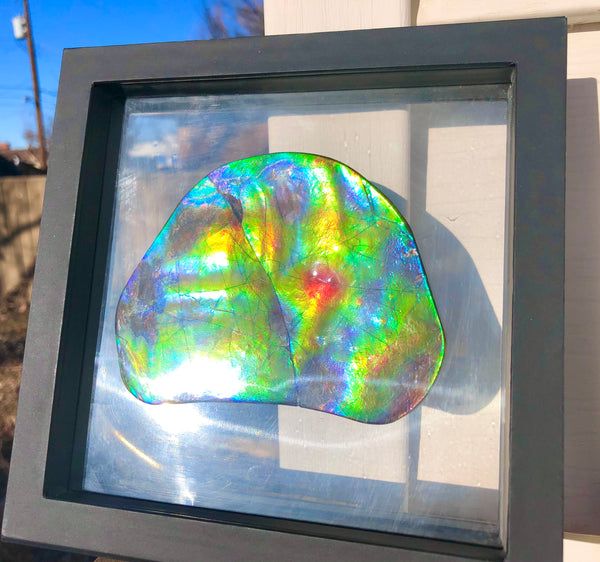 IMP-86 Super RARE HUGE Natural Polished Ammolite Double-Sided Rainbow Beauty !PREMIUM  巨大両面！ナチュラル レアルース アンモライト 斑彩石 FREE SHIPPING