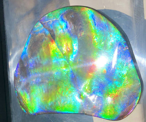 IMP-86 Super RARE HUGE Natural Polished Ammolite Double-Sided Rainbow Beauty !PREMIUM  巨大両面！ナチュラル レアルース アンモライト 斑彩石 FREE SHIPPING