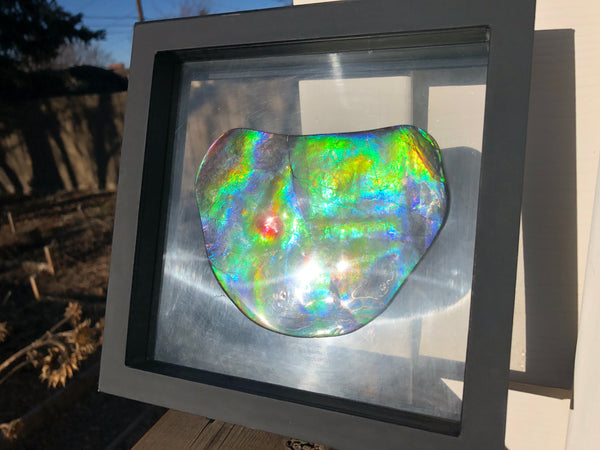IMP-86 Super RARE HUGE Natural Polished Ammolite Double-Sided Rainbow Beauty !PREMIUM  巨大両面！ナチュラル レアルース アンモライト 斑彩石 FREE SHIPPING