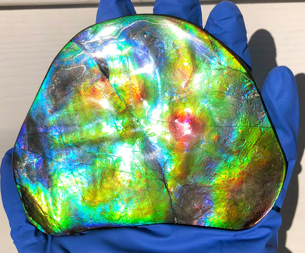 IMP-86 Super RARE HUGE Natural Polished Ammolite Double-Sided Rainbow Beauty !PREMIUM  巨大両面！ナチュラル レアルース アンモライト 斑彩石 FREE SHIPPING