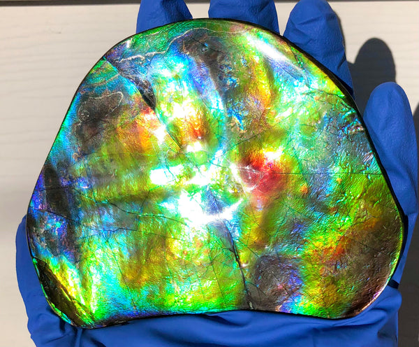 IMP-86 Super RARE HUGE Natural Polished Ammolite Double-Sided Rainbow Beauty !PREMIUM  巨大両面！ナチュラル レアルース アンモライト 斑彩石 FREE SHIPPING