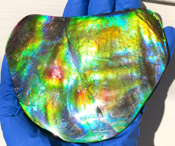 IMP-86 Super RARE HUGE Natural Polished Ammolite Double-Sided Rainbow Beauty !PREMIUM  巨大両面！ナチュラル レアルース アンモライト 斑彩石 FREE SHIPPING