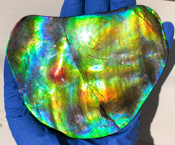 IMP-86 Super RARE HUGE Natural Polished Ammolite Double-Sided Rainbow Beauty !PREMIUM  巨大両面！ナチュラル レアルース アンモライト 斑彩石 FREE SHIPPING