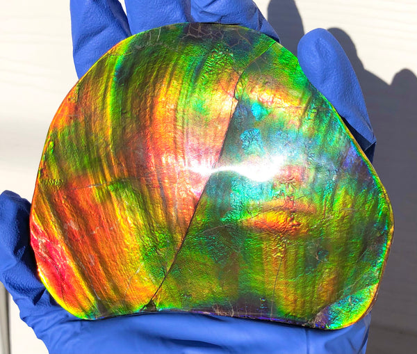IMP-86 Super RARE HUGE Natural Polished Ammolite Double-Sided Rainbow Beauty !PREMIUM  巨大両面！ナチュラル レアルース アンモライト 斑彩石 FREE SHIPPING