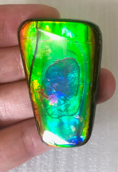 42 x 28  mm  - IMP-71 RARE  Natural Ammolite Double-Sided Rainbow Beauty! 両面！ナチュラル レアルース アンモライト