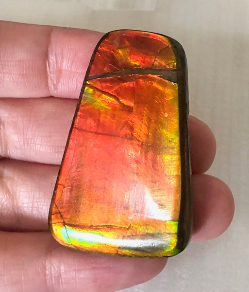42 x 28  mm  - IMP-71 RARE  Natural Ammolite Double-Sided Rainbow Beauty! 両面！ナチュラル レアルース アンモライト