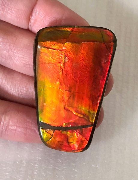 42 x 28  mm  - IMP-71 RARE  Natural Ammolite Double-Sided Rainbow Beauty! 両面！ナチュラル レアルース アンモライト