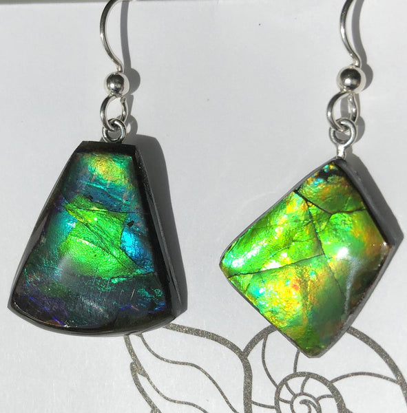 Copy of Sterling Silver Ammolite earrings  - JWY-12 ピアス　シルバー