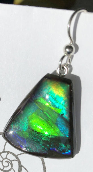 Copy of Sterling Silver Ammolite earrings  - JWY-12 ピアス　シルバー