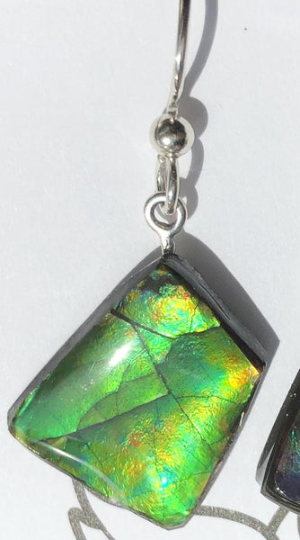 Copy of Sterling Silver Ammolite earrings  - JWY-12 ピアス　シルバー