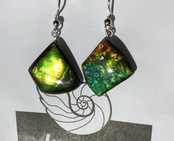 Sterling Silver Ammolite earrings  - JWY-14 ピアス　シルバー