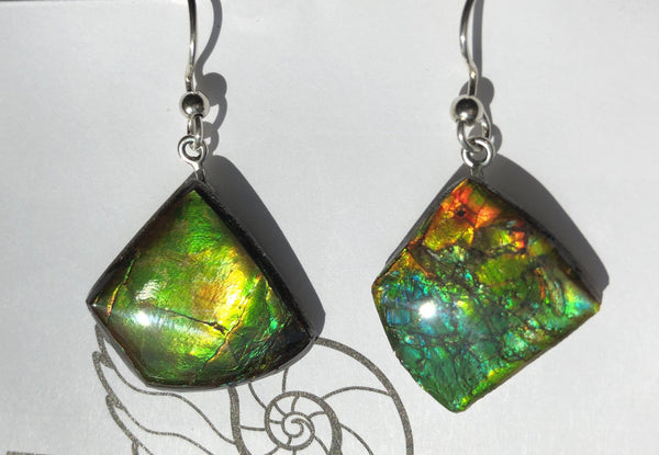 Sterling Silver Ammolite earrings  - JWY-14 ピアス　シルバー