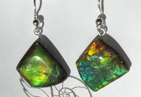 Sterling Silver Ammolite earrings  - JWY-14 ピアス　シルバー