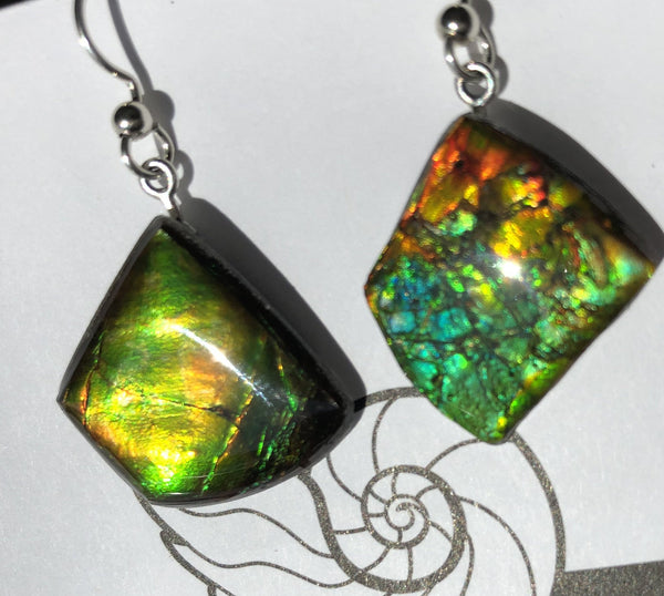 Sterling Silver Ammolite earrings  - JWY-14 ピアス　シルバー