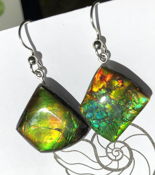 Sterling Silver Ammolite earrings  - JWY-14 ピアス　シルバー