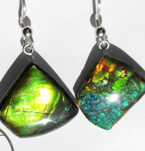 Sterling Silver Ammolite earrings  - JWY-14 ピアス　シルバー
