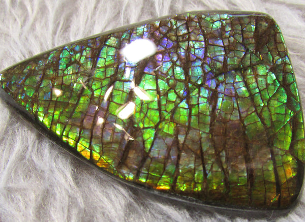 63 x 45 mm Coated Free Form Dragon skin - FFC73   - アンモライト　ルース　フリーフォーム