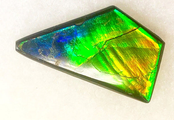 41 x 23 mm  Natural  Free Form . FFN 337 Ammolite  ナチュラル　ルース　アンモライト フリーフォーム