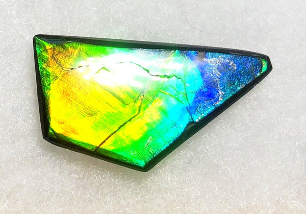 41 x 23 mm  Natural  Free Form . FFN 337 Ammolite  ナチュラル　ルース　アンモライト フリーフォーム
