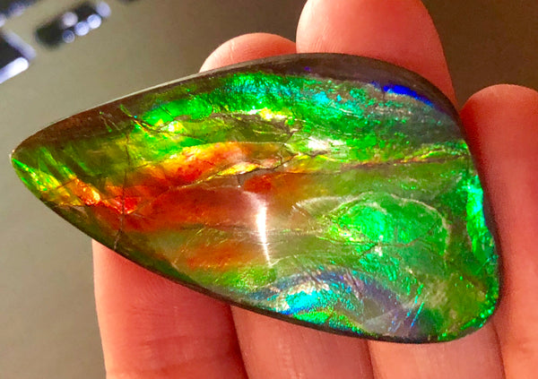 49.5 x 25 mm  Large Natural  Free Form . FFN 338 Ammolite  ナチュラル　ルース　アンモライト フリーフォーム