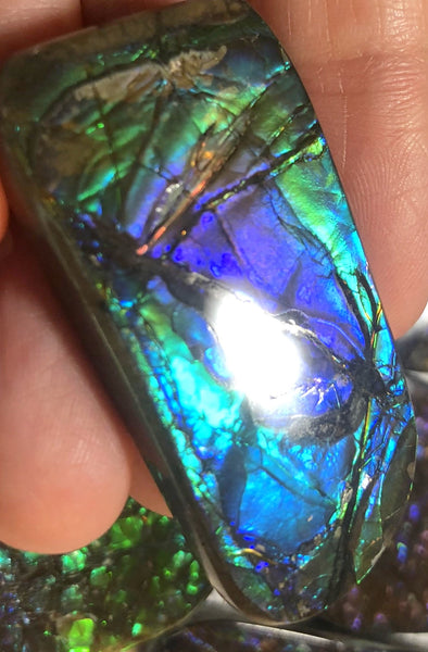 Beautiful Purple 45  x 24 mm  Natural  Free Form . FFN 349 Ammolite  ナチュラル　ルース　アンモライト フリーフォーム