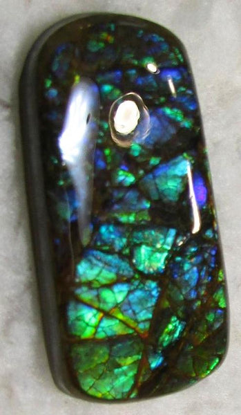 48 x 25 mm Coated Free Form Dragin skin - FFC75   - アンモライト　ルース　フリーフォーム