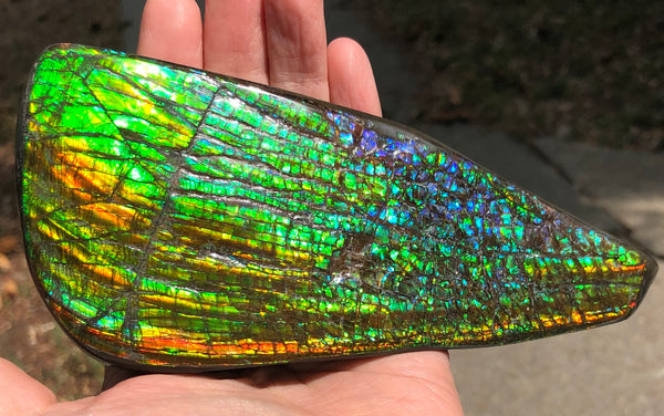 CS-164 Ammolite 152x65mm Collector Stone -Natural XL Display Gem Free shipping! アンモライト コレクターストーン 送料無料！