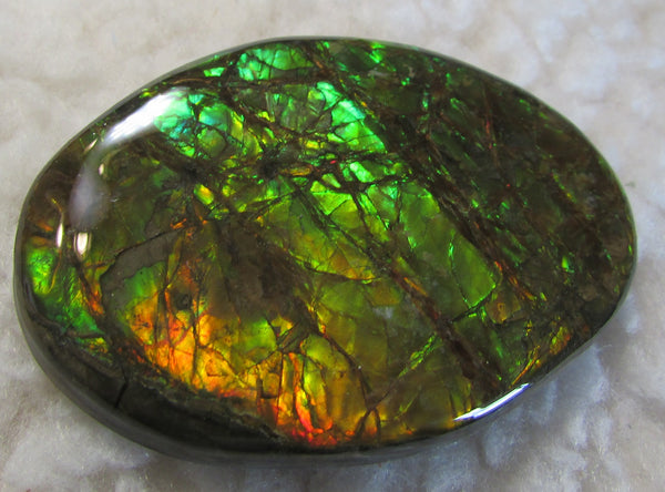 68 x 46 mm Coated Free Form Dragon skin - FFC76   - アンモライト　ルース　フリーフォーム