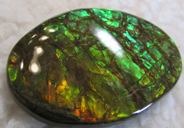 68 x 46 mm Coated Free Form Dragon skin - FFC76   - アンモライト　ルース　フリーフォーム