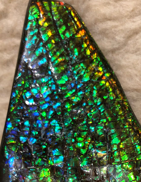 CS-164 Ammolite 152x65mm Collector Stone -Natural XL Display Gem Free shipping! アンモライト コレクターストーン 送料無料！