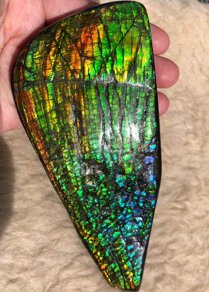 CS-164 Ammolite 152x65mm Collector Stone -Natural XL Display Gem Free shipping! アンモライト コレクターストーン 送料無料！