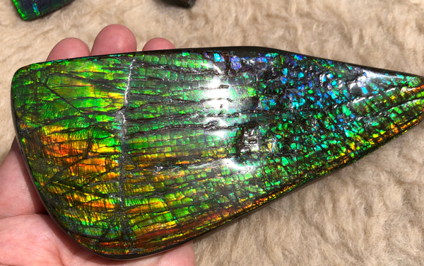 CS-164 Ammolite 152x65mm Collector Stone -Natural XL Display Gem Free shipping! アンモライト コレクターストーン 送料無料！