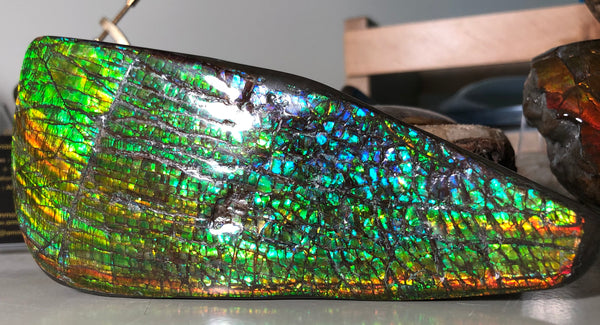 CS-164 Ammolite 152x65mm Collector Stone -Natural XL Display Gem Free shipping! アンモライト コレクターストーン 送料無料！