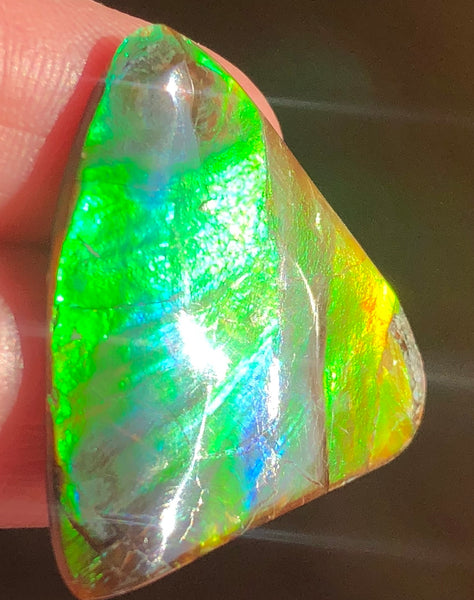 31 x 30 mm  - IMP-58 Natural Ammolite Double-Sided Imperial!　両面　レインボー！レアルース　アンモライト