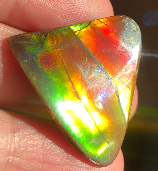 31 x 30 mm  - IMP-58 Natural Ammolite Double-Sided Imperial!　両面　レインボー！レアルース　アンモライト