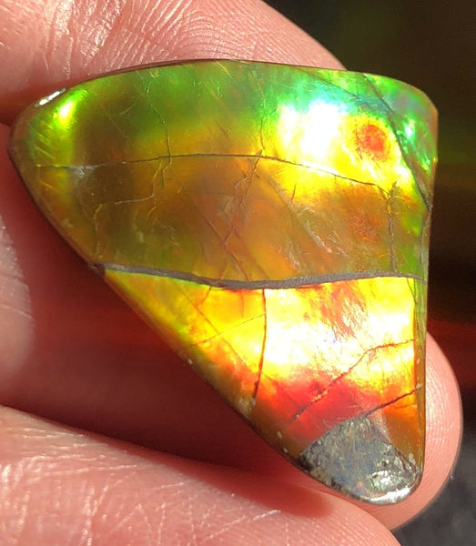 31 x 30 mm  - IMP-58 Natural Ammolite Double-Sided Imperial!　両面　レインボー！レアルース　アンモライト