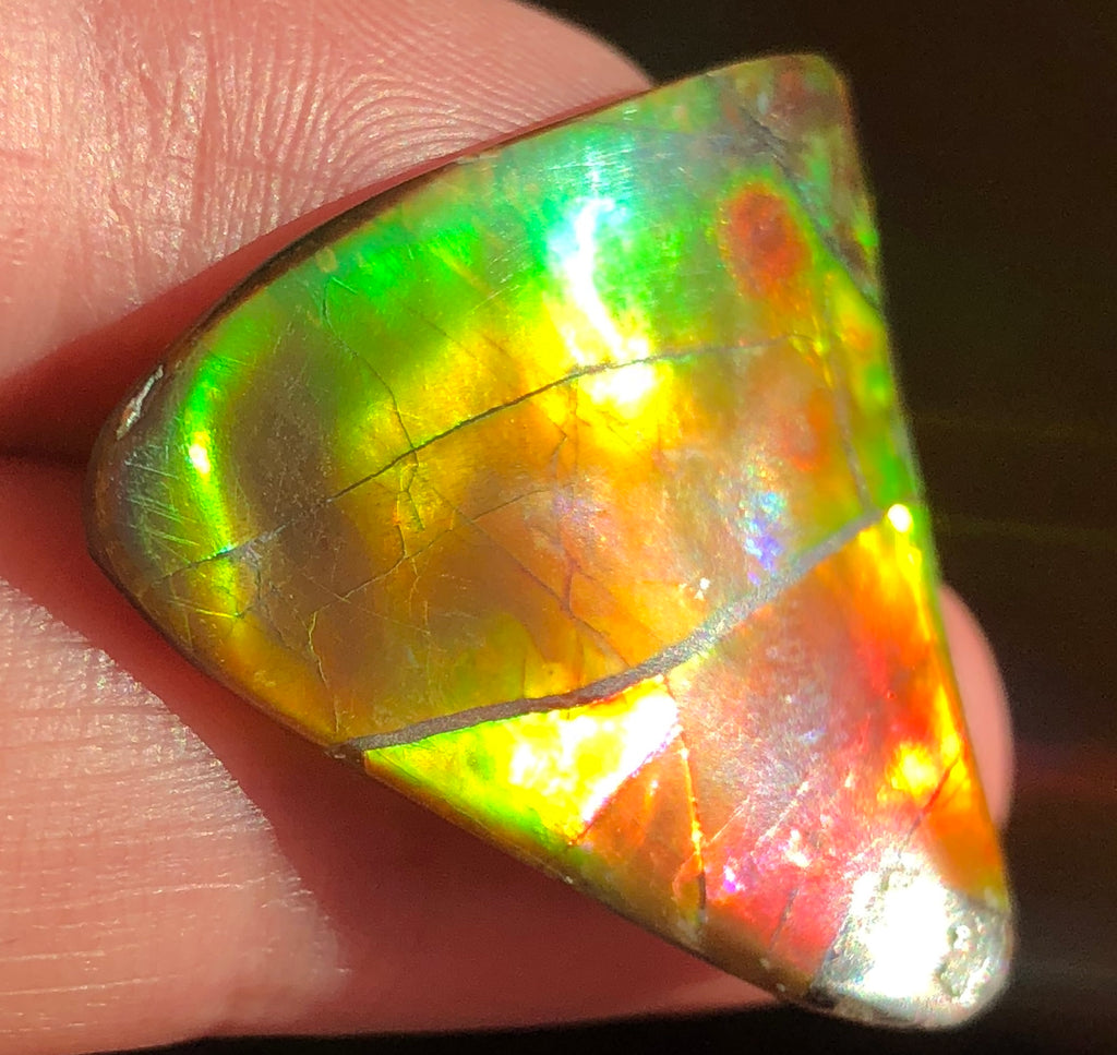 【セール】IMPERIAL アンモライト 両面レインボー レアルース 31 x 30 mm - IMP-58 Natural Ammolite Double-Sided Imperial! 両面