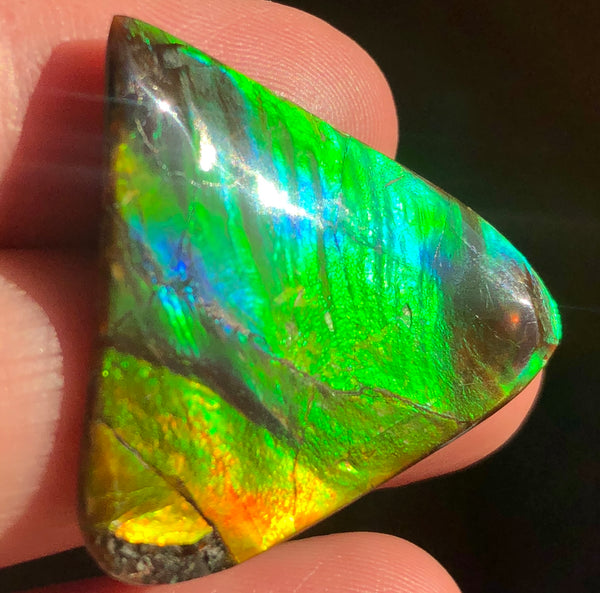 31 x 30 mm  - IMP-58 Natural Ammolite Double-Sided Imperial!　両面　レインボー！レアルース　アンモライト