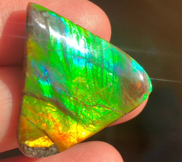 31 x 30 mm  - IMP-58 Natural Ammolite Double-Sided Imperial!　両面　レインボー！レアルース　アンモライト