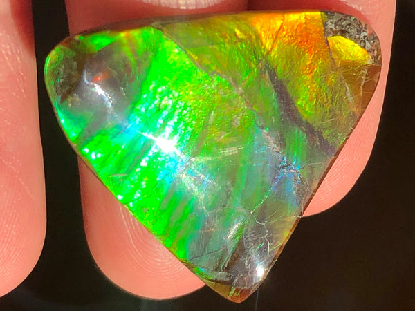 31 x 30 mm  - IMP-58 Natural Ammolite Double-Sided Imperial!　両面　レインボー！レアルース　アンモライト