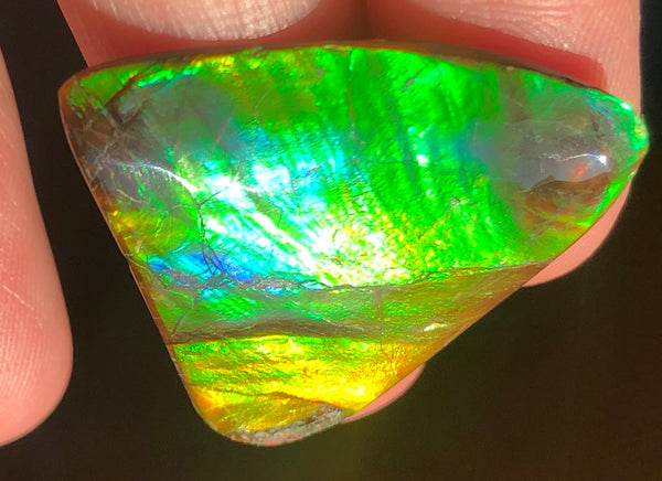 31 x 30 mm  - IMP-58 Natural Ammolite Double-Sided Imperial!　両面　レインボー！レアルース　アンモライト