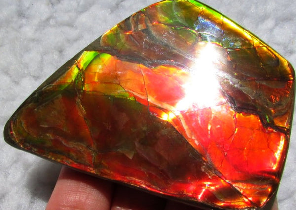 Super Bright  Ammolite   78 x 62 mm Collector Stone - CS-117   - アンモライト スーパーブライトカラー コレクターストーン　