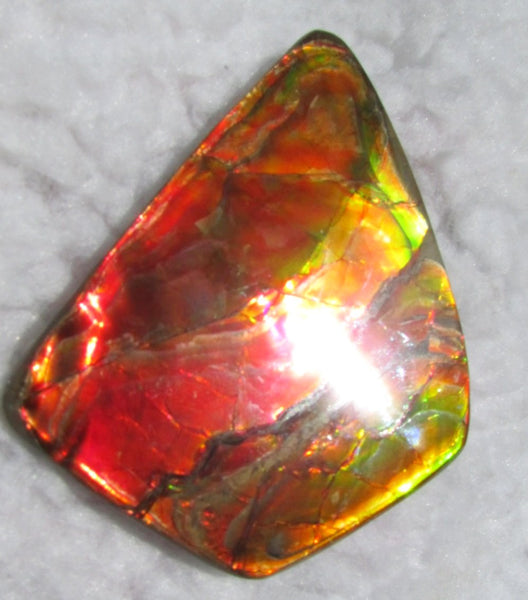 Super Bright  Ammolite   78 x 62 mm Collector Stone - CS-117   - アンモライト スーパーブライトカラー コレクターストーン　