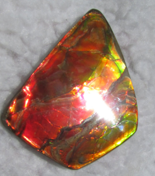 Super Bright  Ammolite   78 x 62 mm Collector Stone - CS-117   - アンモライト スーパーブライトカラー コレクターストーン　