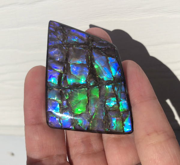 Large Beauty  56x37 mm  High Grade Natural  Free Form . FFNT 144 Ammolite  ナチュラル　ルース　アンモライト