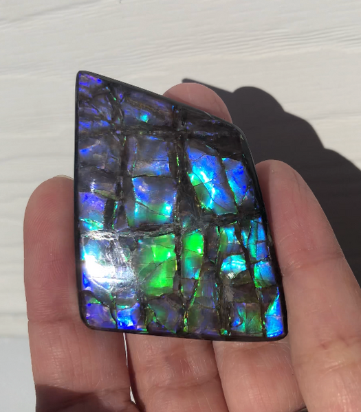 Large Beauty  56x37 mm  High Grade Natural  Free Form . FFNT 144 Ammolite  ナチュラル　ルース　アンモライト