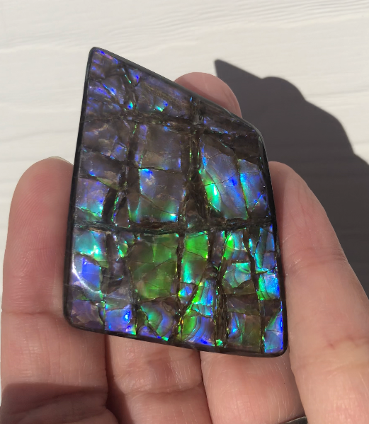Large Beauty  56x37 mm  High Grade Natural  Free Form . FFNT 144 Ammolite  ナチュラル　ルース　アンモライト