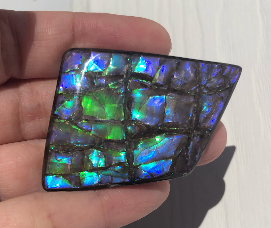 Large Beauty  56x37 mm  High Grade Natural  Free Form . FFNT 144 Ammolite  ナチュラル　ルース　アンモライト