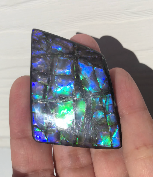 Large Beauty  56x37 mm  High Grade Natural  Free Form . FFNT 144 Ammolite  ナチュラル　ルース　アンモライト